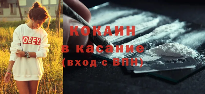 цена   Данилов  MEGA рабочий сайт  Cocaine Fish Scale 